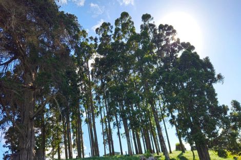 Photo of property in 844 State Highway 1, Pohuehue, Warkworth, 0983