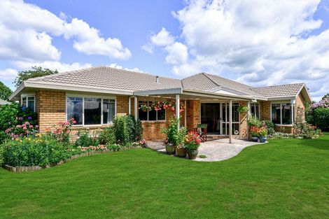 Photo of property in 14 Admiral Crescent, Flagstaff, Hamilton, 3210