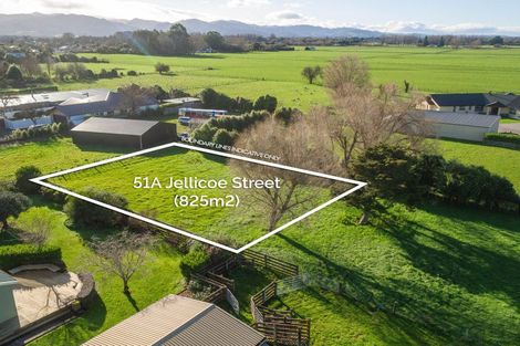 Photo of property in 51 Jellicoe Street, Greytown, 5712