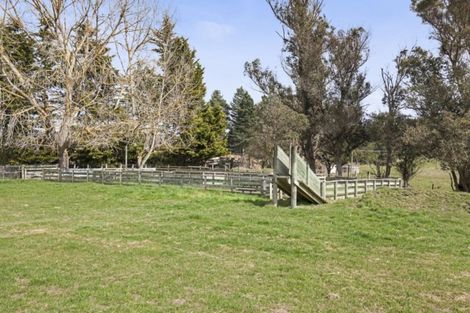 Photo of property in 204 Forestry Road, Ashley, Rangiora, 7477