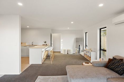 Photo of property in 73b Newcastle Road, Dinsdale, Hamilton, 3204