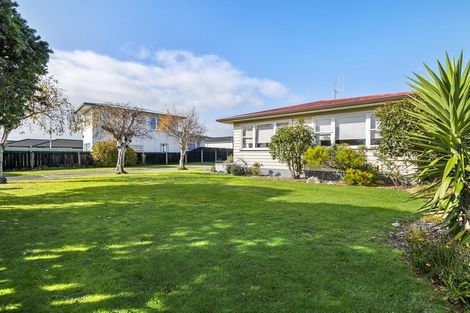 Photo of property in 448 Tremaine Avenue, Takaro, Palmerston North, 4410