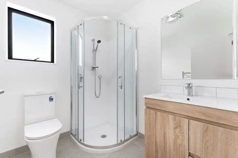 Photo of property in 250a Great North Road, Henderson, Auckland, 0612