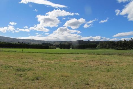 Photo of property in 137 Blackman Road, Blackmans, Alexandra, 9391