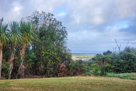 Photo of property in 105 Brickfield Road, Blue Spur, Hokitika, 7882
