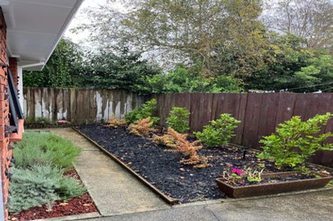 Photo of property in 9c Saint Olpherts Avenue, Hamilton East, Hamilton, 3216