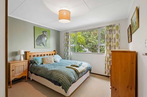 Photo of property in 333a Pounawea Road, Owaka, 9585