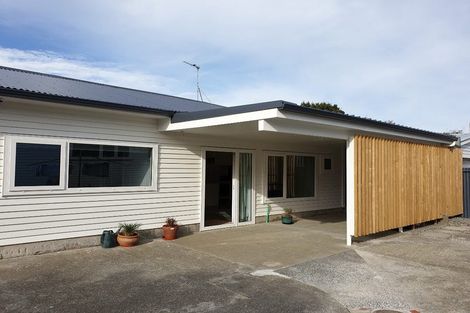 Photo of property in 89 Derwent Street, Island Bay, Wellington, 6023