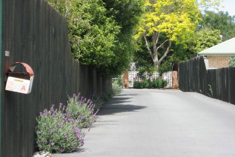 Photo of property in 21a Rogers Street, Blenheim, 7201