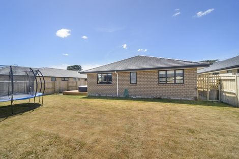 Photo of property in 79 North Street, Ashhurst, 4810