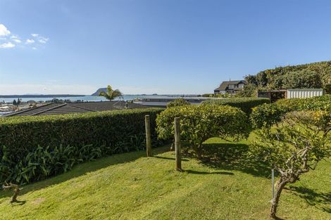 Photo of property in 10 Hazel Terrace, Otumoetai, Tauranga, 3110