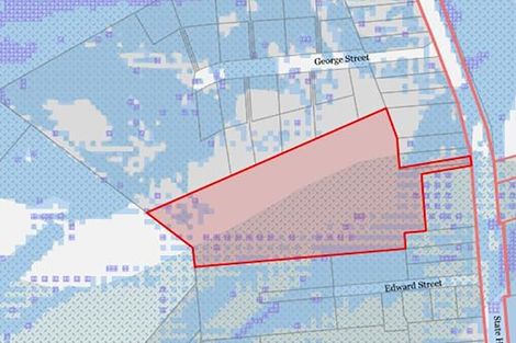 Photo of property in 227 Bridge Street, Bulls, 4818