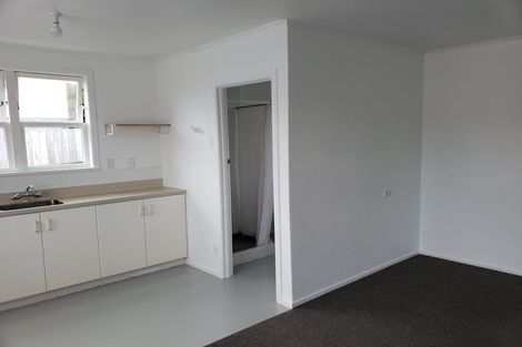 Photo of property in 15 Linwood Avenue, Forrest Hill, Auckland, 0620