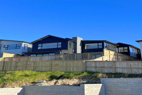 Photo of property in 79 Michael Bosher Way, Flat Bush, Auckland, 2019