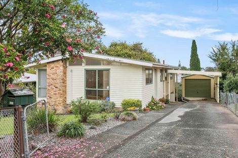 Photo of property in 55 Batkin Road, New Windsor, Auckland, 0600