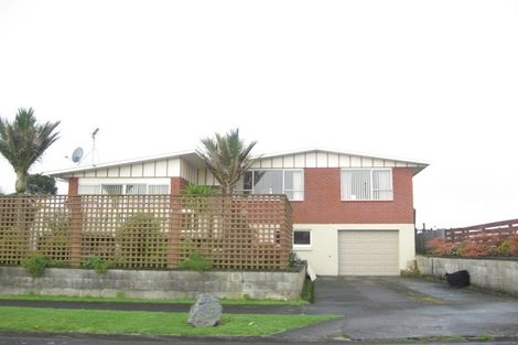 Photo of property in 42 Park Lane, Waitara, 4320