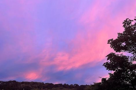 Photo of property in 1/48 Hamilton Road, Hataitai, Wellington, 6021