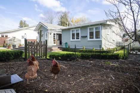 Photo of property in 165 Whitaker Street, Whataupoko, Gisborne, 4010