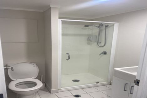 Photo of property in Waldorf Bankside Apartments, 4e/8 Bankside Street, Auckland Central, Auckland, 1010