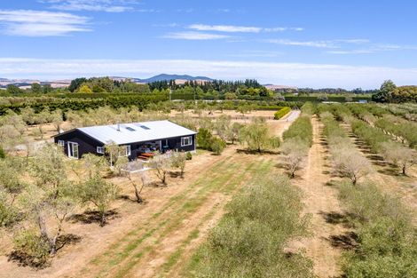 Photo of property in 399a Lake Ferry Road, Dyerville, Martinborough, 5781