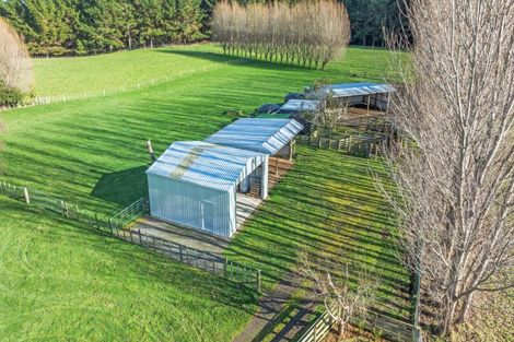 Photo of property in 334 Mount Biggs Road, Halcombe, Feilding, 4779