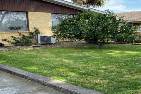 Photo of property in 171 Halswell Road, Hillmorton, Christchurch, 8025