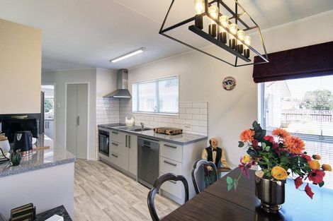 Photo of property in 19 Manchester Street, Solway, Masterton, 5810