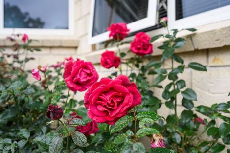 Photo of property in 5 Oakeley Rise, Feilding, 4702