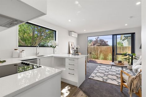 Photo of property in 86a Olliviers Road, Phillipstown, Christchurch, 8011