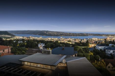 Photo of property in 29 Selkirk Street, Roslyn, Dunedin, 9010