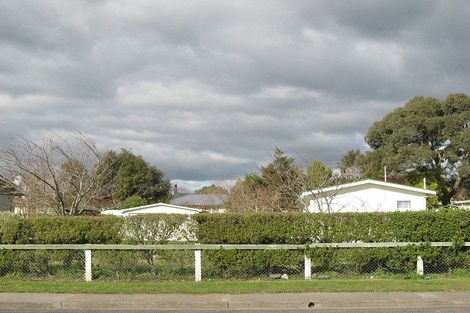 Photo of property in 93 Racecourse Road, Waipukurau, 4200
