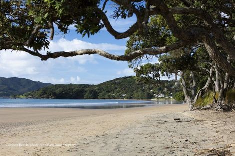 Photo of property in 31 Paradise Road, Coopers Beach, 0420