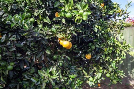 Photo of property in 12a Snowden Street, Ohauiti, Tauranga, 3112