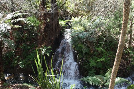 Photo of property in 4059 State Highway 23, Raglan, 3295