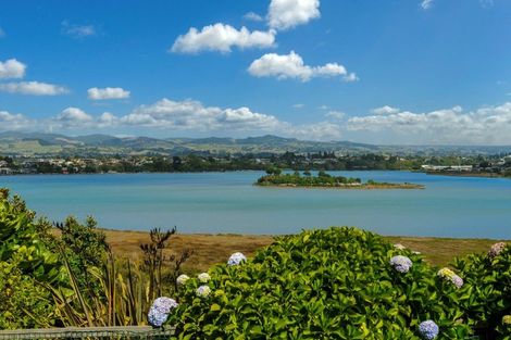 Photo of property in 58 Milton Road, Otumoetai, Tauranga, 3110