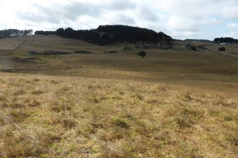 Photo of property in 34 Te Kanae Road, South Head, 0874