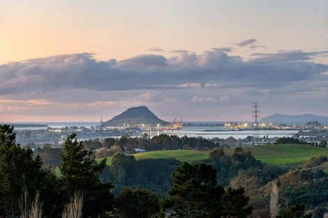 Photo of property in 393 Upper Ohauiti Road, Ohauiti, Tauranga, 3173