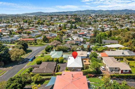 Photo of property in 38 The Drive, Brookfield, Tauranga, 3110