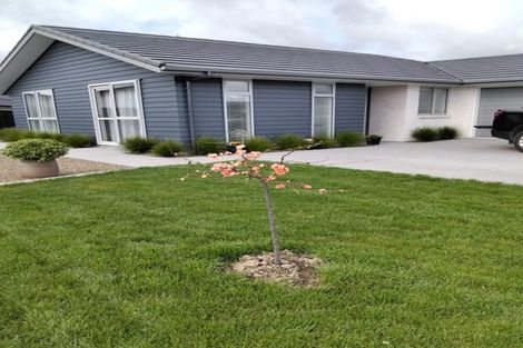 Photo of property in 22 Olney Court, One Tree Point, 0118