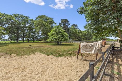 Photo of property in 499 Bruntwood Road, Tamahere, Cambridge, 3493