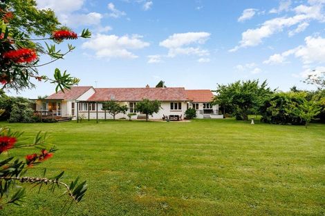 Photo of property in 142 Williams Street, Cambridge, 3434