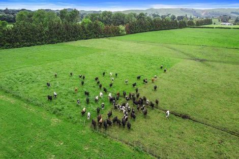 Photo of property in 1887b State Highway 26, Motumaoho, Morrinsville, 3372