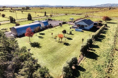 Photo of property in 672 Jary Road, Ohaupo, Cambridge, 3495