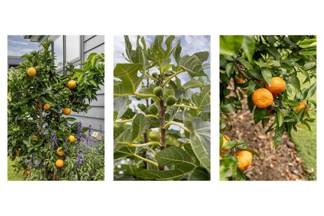 Photo of property in 132c Margaret Drive, Omokoroa, 3114