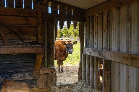 Photo of property in 92 Beacon Road, Dillons Point, Blenheim, 7273