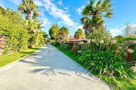 Photo of property in 65 Riverpark Crescent, Henderson, Auckland, 0610