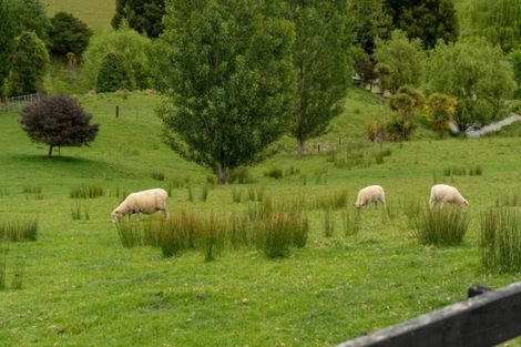 Photo of property in 117 Lees Pakaraka Road, Te Ore Ore, Masterton, 5886