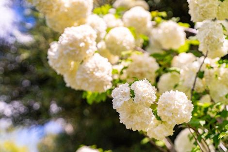 Photo of property in 35 Lawrence Road, Mangawhai, Kaiwaka, 0573