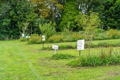 Photo of property in 288 Oropi Gorge Road, Oropi, Tauranga, 3173