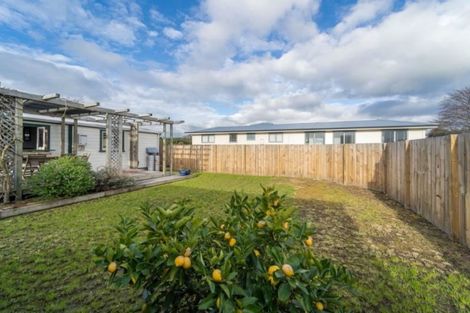 Photo of property in 16 New York Street, Martinborough, 5711